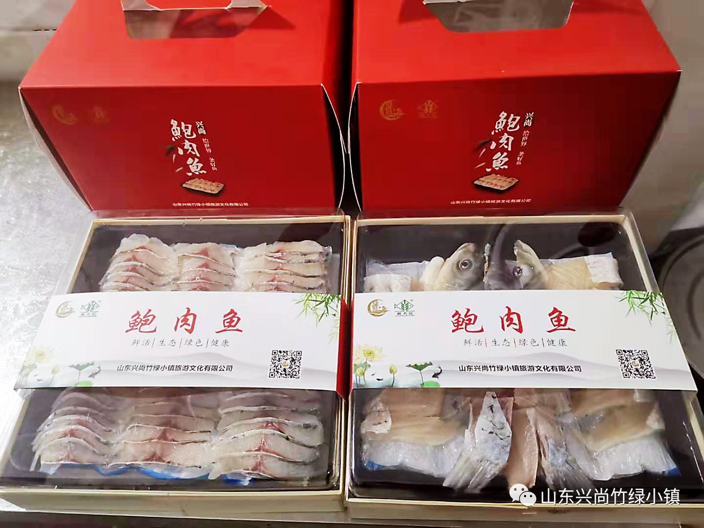 鮑肉魚項(xiàng)目  成功落地肥城興尚竹綠小鎮(zhèn)。