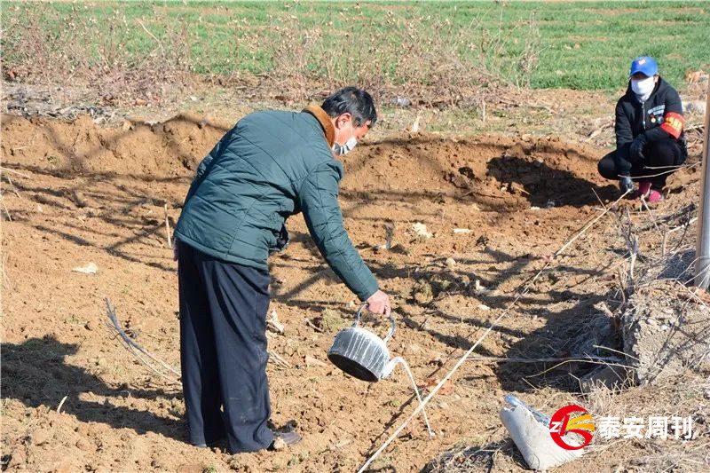 肥城市安臨站鎮(zhèn)：疫情防控不松懈 春季造林爭朝夕