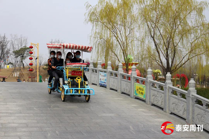 泰山花海景區(qū)昨天恢復(fù)開園！春景與你同在，相約浪漫花海！