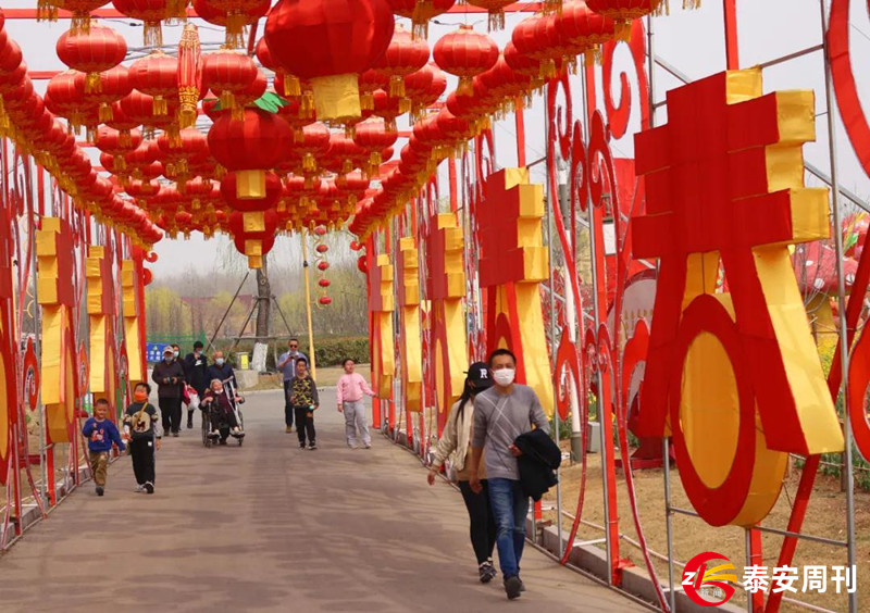 泰山花海景區(qū)昨天恢復(fù)開園！春景與你同在，相約浪漫花海！