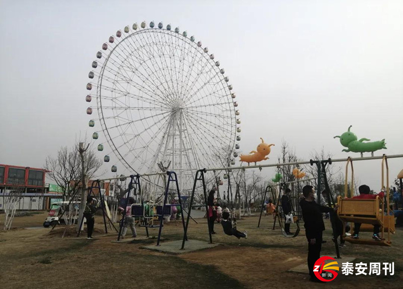 泰山花海景區(qū)昨天恢復(fù)開園！春景與你同在，相約浪漫花海！