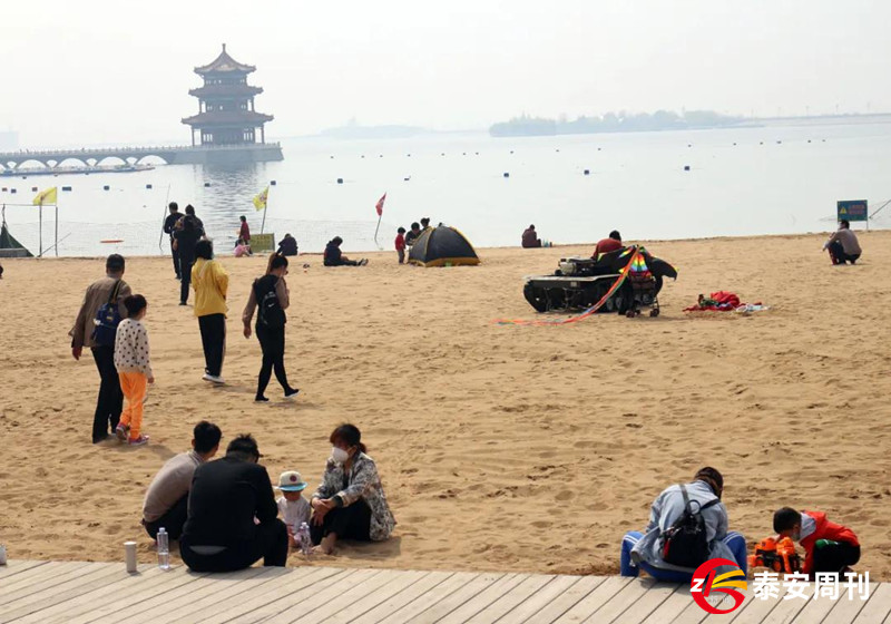 泰山花海景區(qū)昨天恢復(fù)開園！春景與你同在，相約浪漫花海！