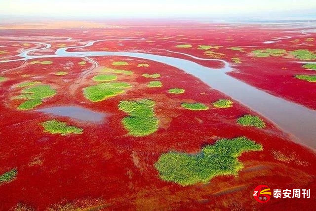 疫情過后“五一”假期，山東自駕游怎么玩兒？最全攻略在這里，