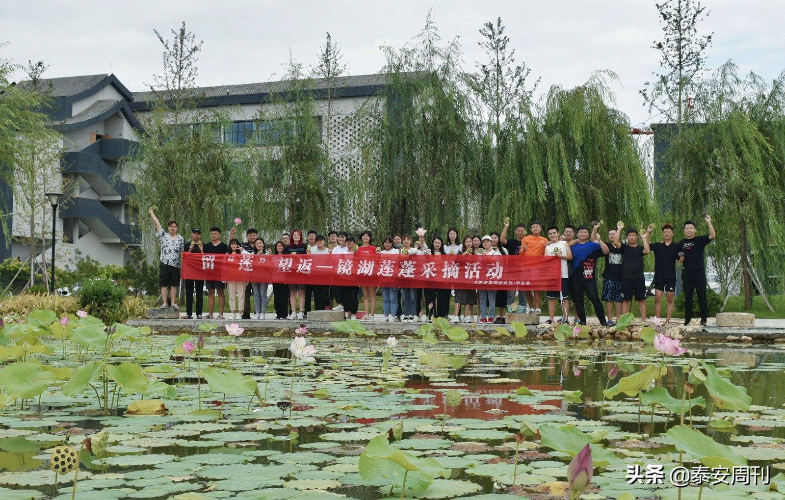 山東科技大學(xué)泰山科技學(xué)院開展秋日采蓮勞動(dòng)教育