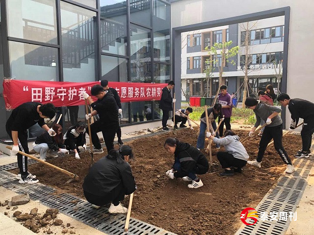 我與東岳書院農(nóng)耕試驗田的日記