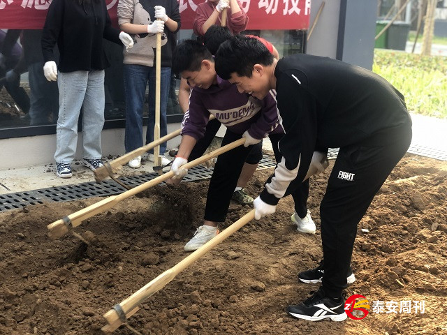 我與東岳書院農(nóng)耕試驗田的日記