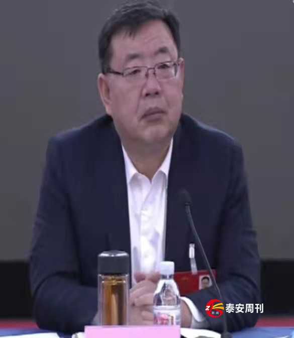 齊濤 王云鵬參加泰安代表團(tuán)審議