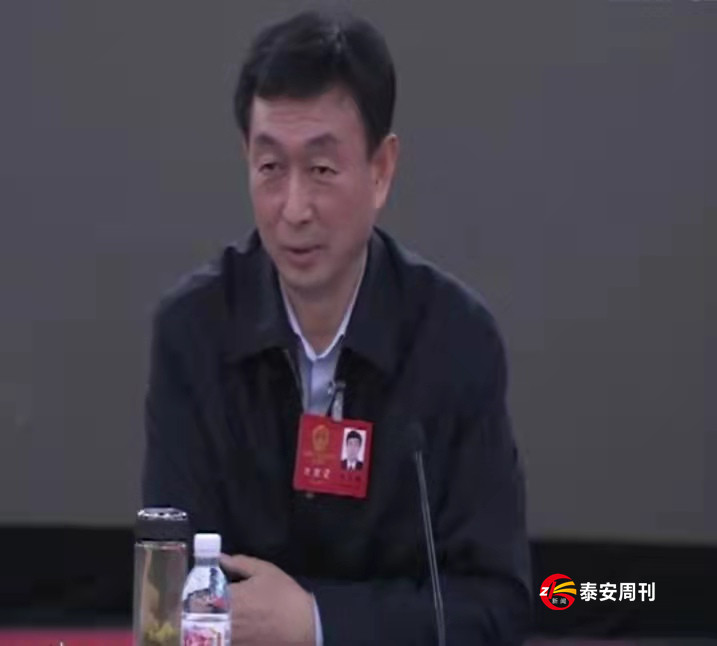 齊濤 王云鵬參加泰安代表團(tuán)審議