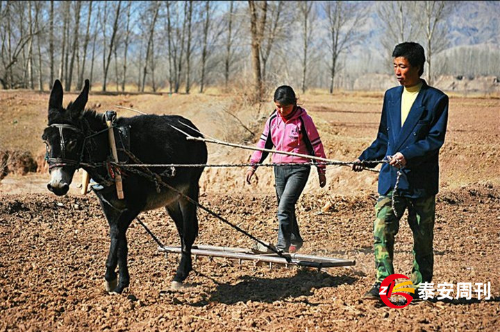 農(nóng)時不等人！李克強要求各地要抓緊做好春耕備耕