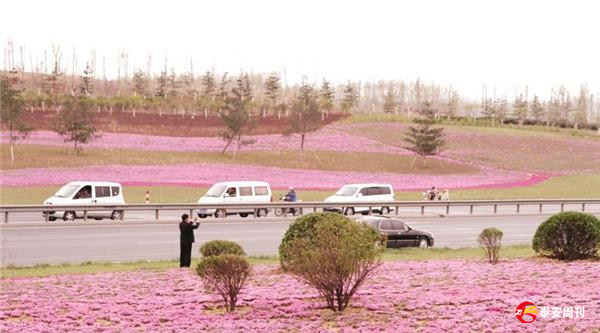 新泰市“花海園林”建設(shè)提升城市顏值