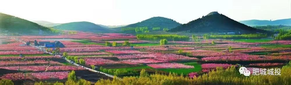 三月桃花始欲燃 城投發(fā)展勢(shì)如虹